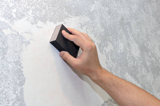  Shannon, MS Mold Removal Pros