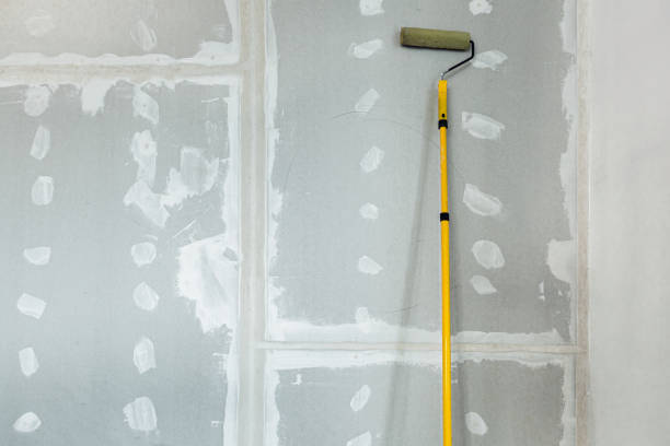 Best Black Mold Removal  in Shannon, MS