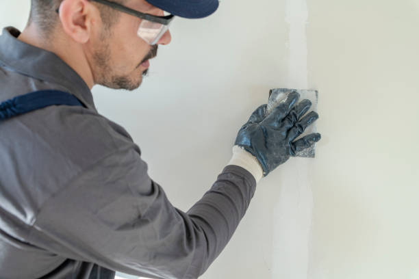 Best Forensic Mold Investigation  in Shannon, MS