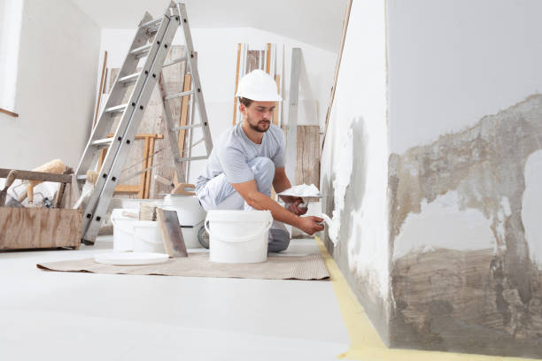 Best Basement Mold Removal  in Shannon, MS