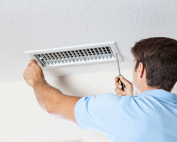 Best Water Damage & Mold Remediation  in Shannon, MS