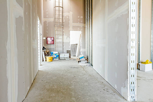 Mold Removal for HVAC Installations in Shannon, MS