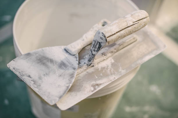 Best Mold-Related Health Consultation  in Shannon, MS