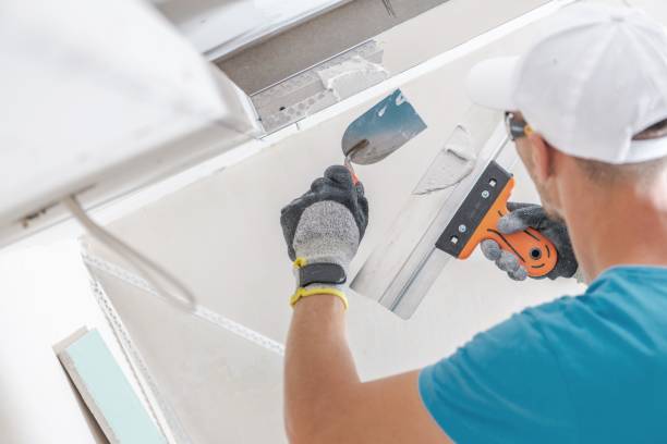 Best Mold Odor Removal Services  in Shannon, MS
